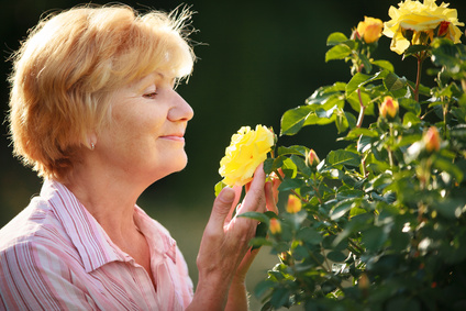 My Blooming “Flower” For My Budding Relationship My Blooming “Flower” For My Budding Relationship