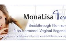 Have You Heard About the Mona Lisa Touch? Have You Heard About the Mona Lisa Touch?